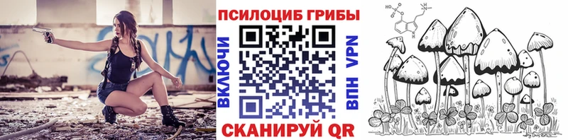 Псилоцибиновые грибы прущие грибы  нарко площадка Telegram  Городовиковск 